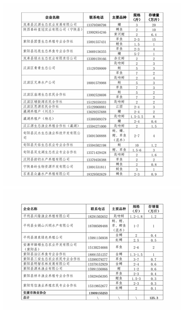 光影魔術(shù)手拼圖.jpg
