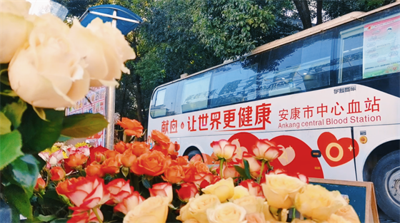 安康這三兄妹，熱血！